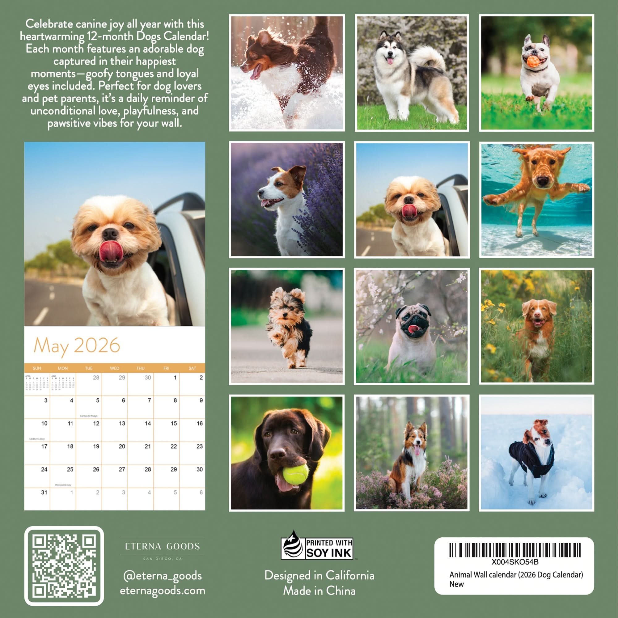 The back cover of the 2026 Dogs Wall Calendar by Eterna Goods displays a May page, 12 stunning outdoor and coastal dog breed photos, promotional details, and Eterna Goods company info.