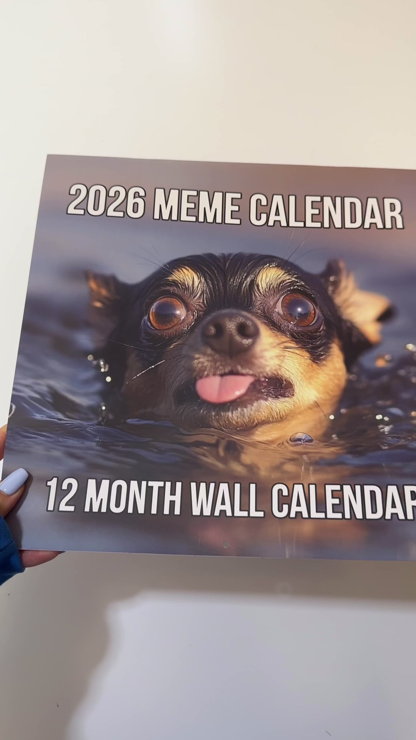 2026 Meme Wall Calendar