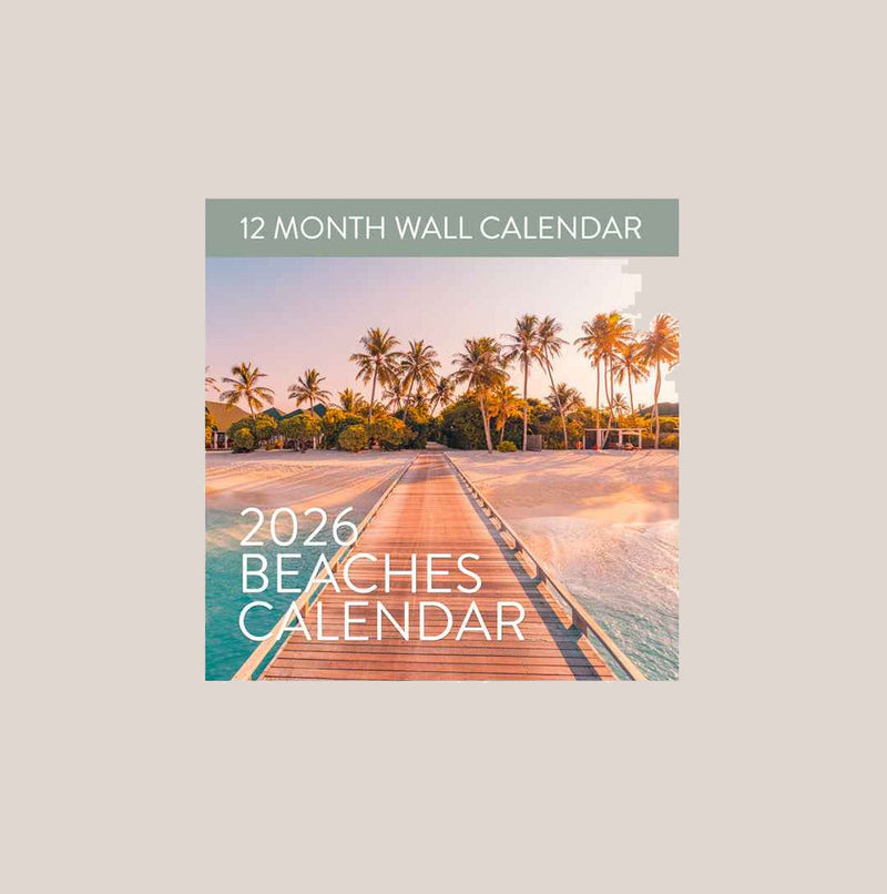 A wall calendar open to February 2026 with a boardwalk beach photo, next to a shelf holding three potted plants and a large leafy plant below.