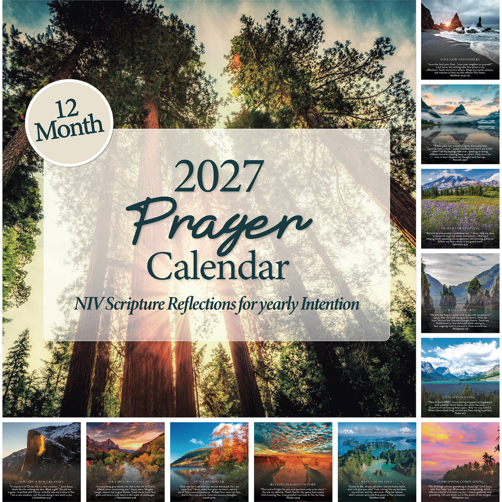 Cover of the 2027 Prayer Wall Calendar by Hannah Faith, featuring tall trees alongside eleven small nature photos on the right and bottom. Each month includes a scripture reflection, making this beautiful Bible verse calendar an ideal faith-based gift.