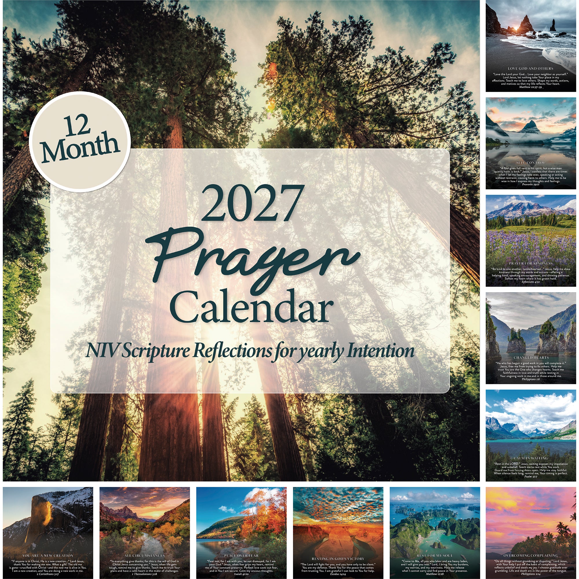 Cover of the 2027 Prayer Wall Calendar by Hannah Faith, featuring tall trees alongside eleven small nature photos on the right and bottom. Each month includes a scripture reflection, making this beautiful Bible verse calendar an ideal faith-based gift.