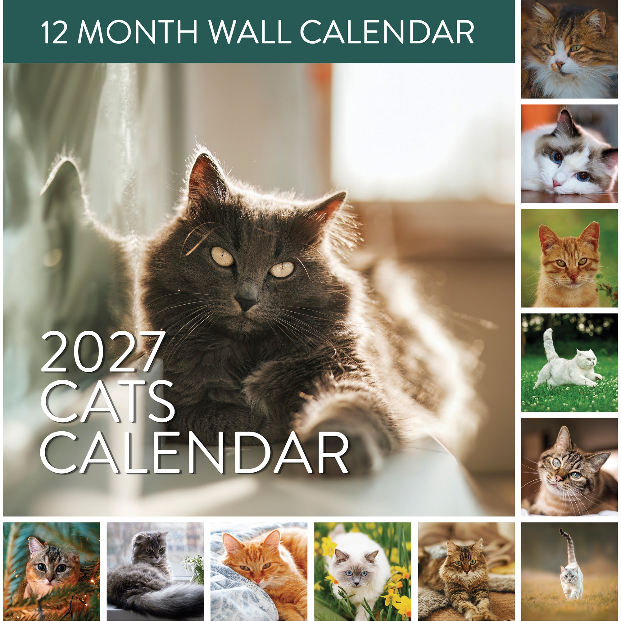 A collage of various cats graces the cover of the 2026 Cats Wall Calendar by Eterna Goods, featuring a main image of a gray cat lounging by a window—an ideal pick for cat lovers and fans of feline photography.