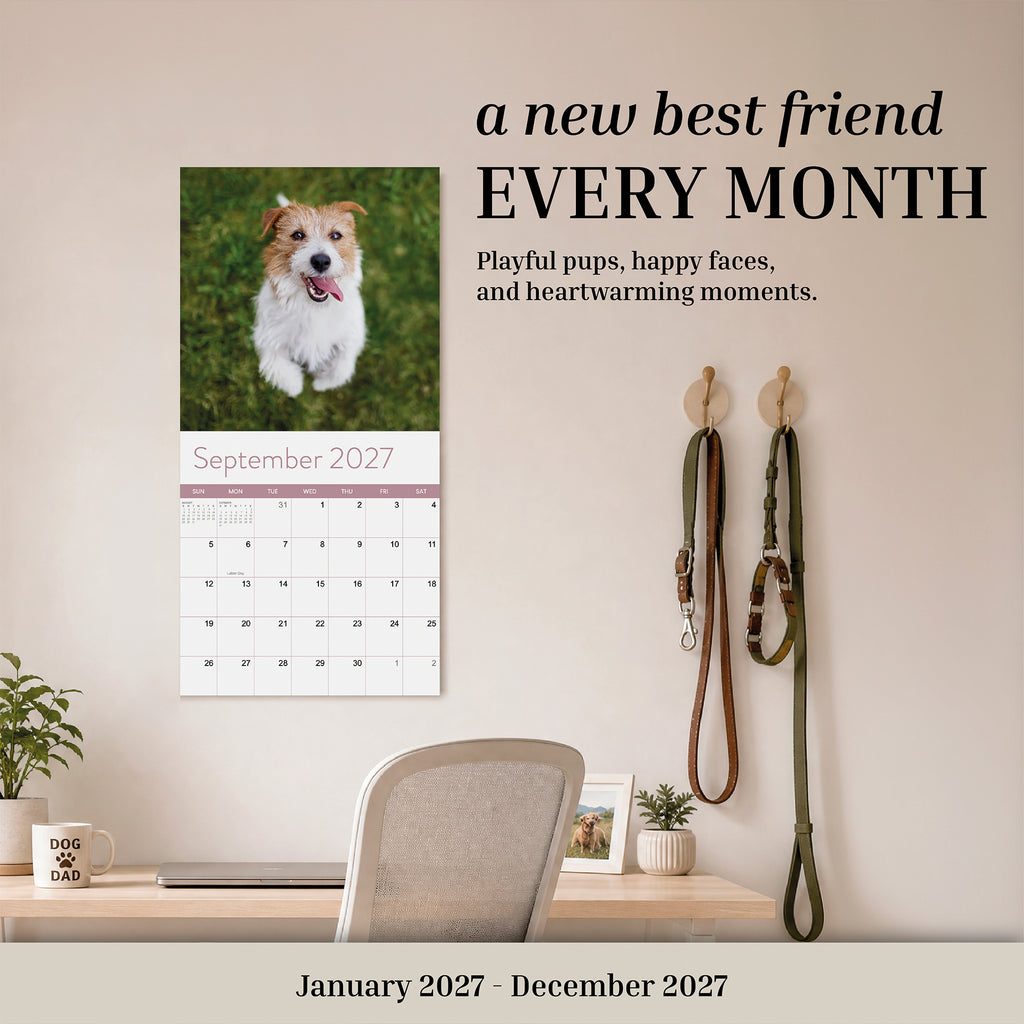 The Eterna Goods 2027 Dogs Wall Calendar, displaying an adorable dog photo for September, hangs above a desk with a chair, two leashes on hooks, a plant, and a mug that reads "DOG DAD"—the ideal calendar for dog lovers to add charm to any space.