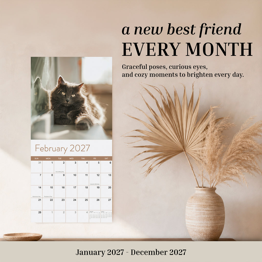 An open 2027 Cats Wall Calendar by Eterna Goods, displaying the February page with striking cat photography—a long-haired cat—sits next to beige dried plants in a vase on a light-colored surface.