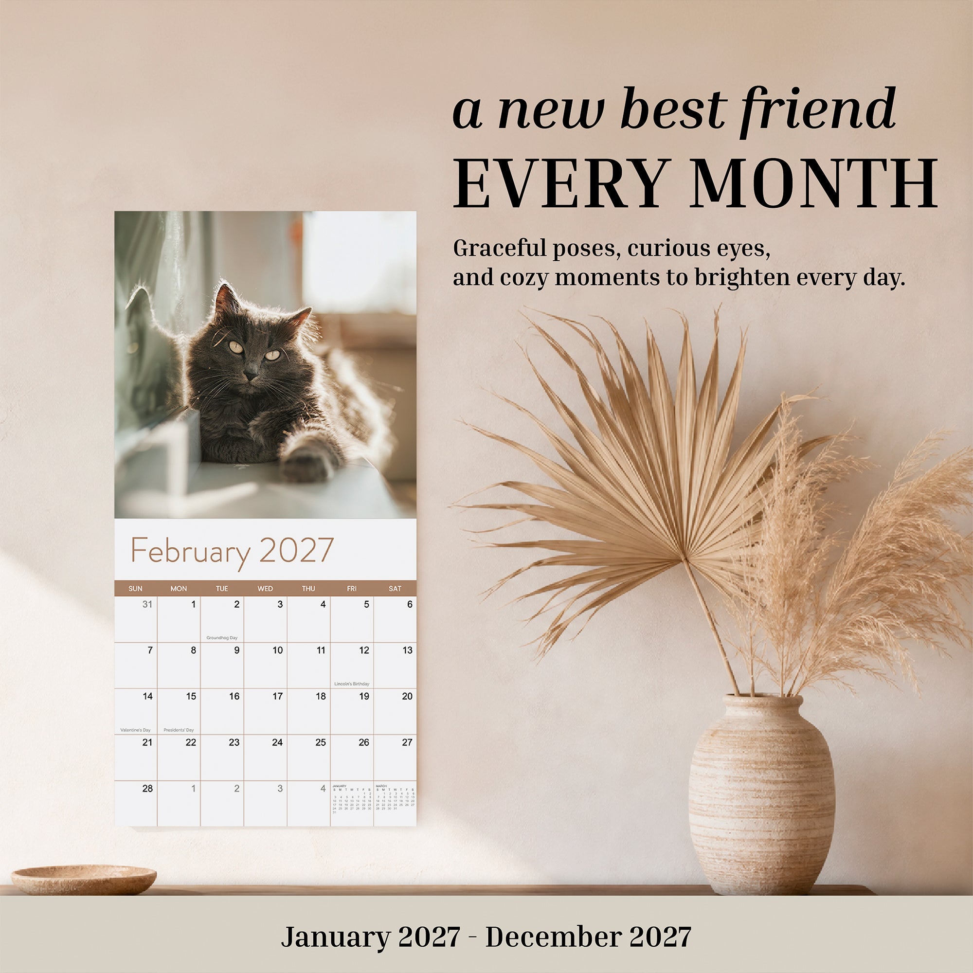An open 2027 Cats Wall Calendar by Eterna Goods, displaying the February page with striking cat photography—a long-haired cat—sits next to beige dried plants in a vase on a light-colored surface.