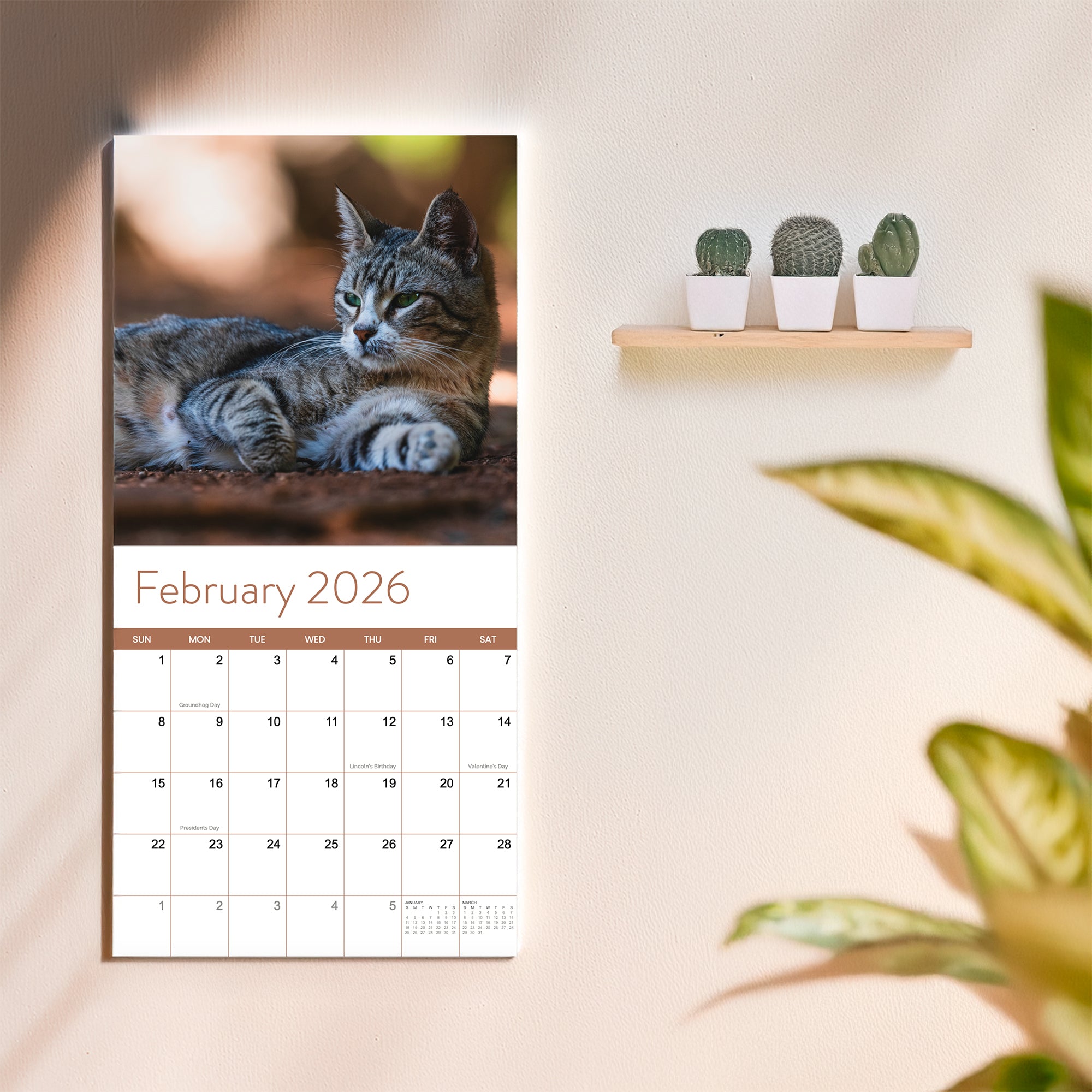 The Eterna Goods 2026 Cats Wall Calendar shows February with a photo of a resting tabby cat next to a shelf holding three mini potted cacti.