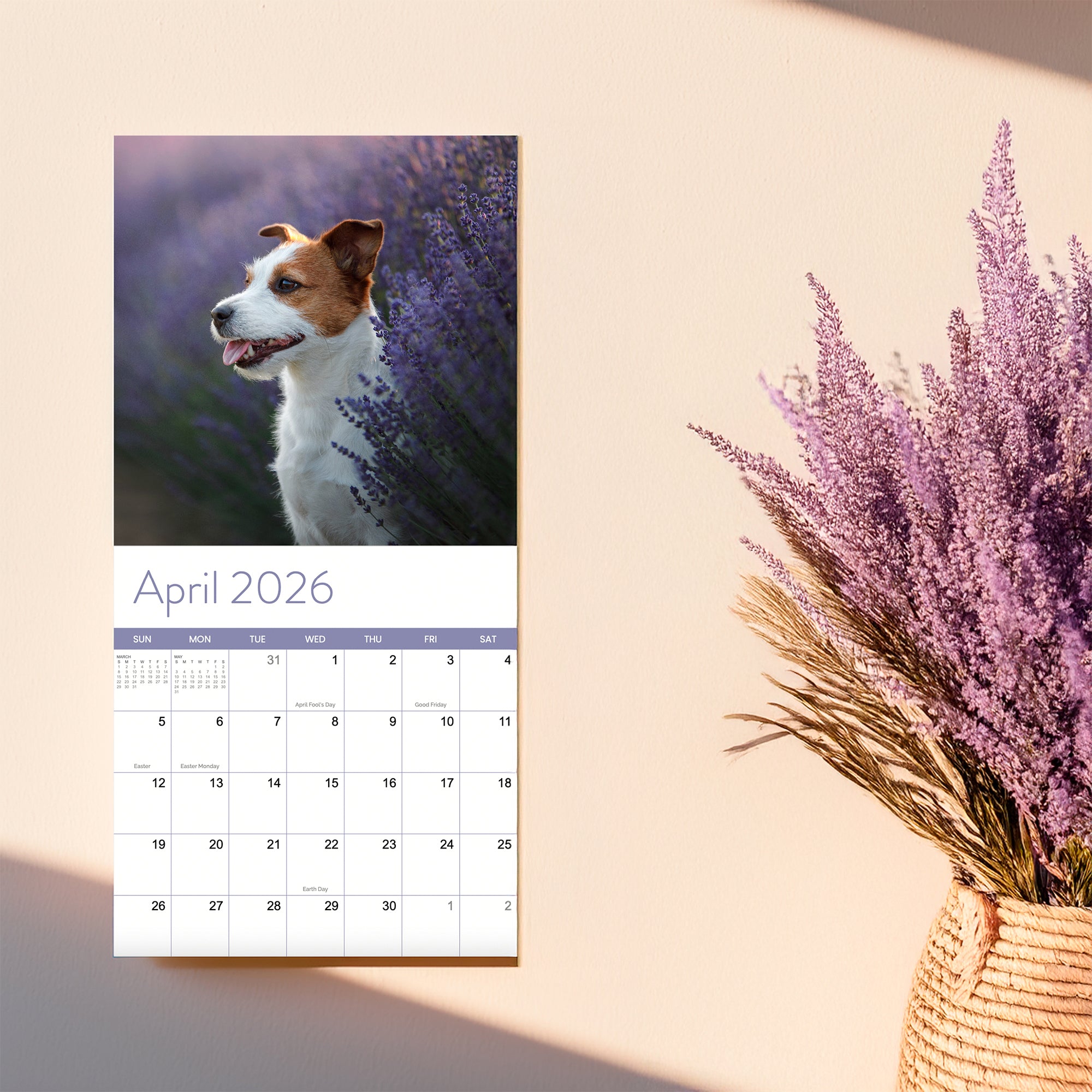 The 2026 Dogs Wall Calendar by Eterna Goods displays a playful April photo of a dog in a lavender field, with a vase of lavender casting shadow nearby—perfect for fans of charming images and stylish calendars.