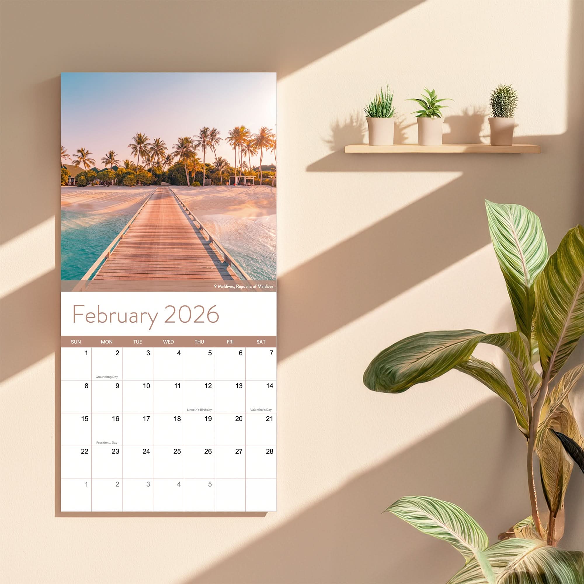 The Eterna Goods 2026 Beaches Wall Calendar is open to February, displaying vivid tropical beach photography above the dates; nearby, a plant and potted greenery sit on a sunlit beige wall shelf.