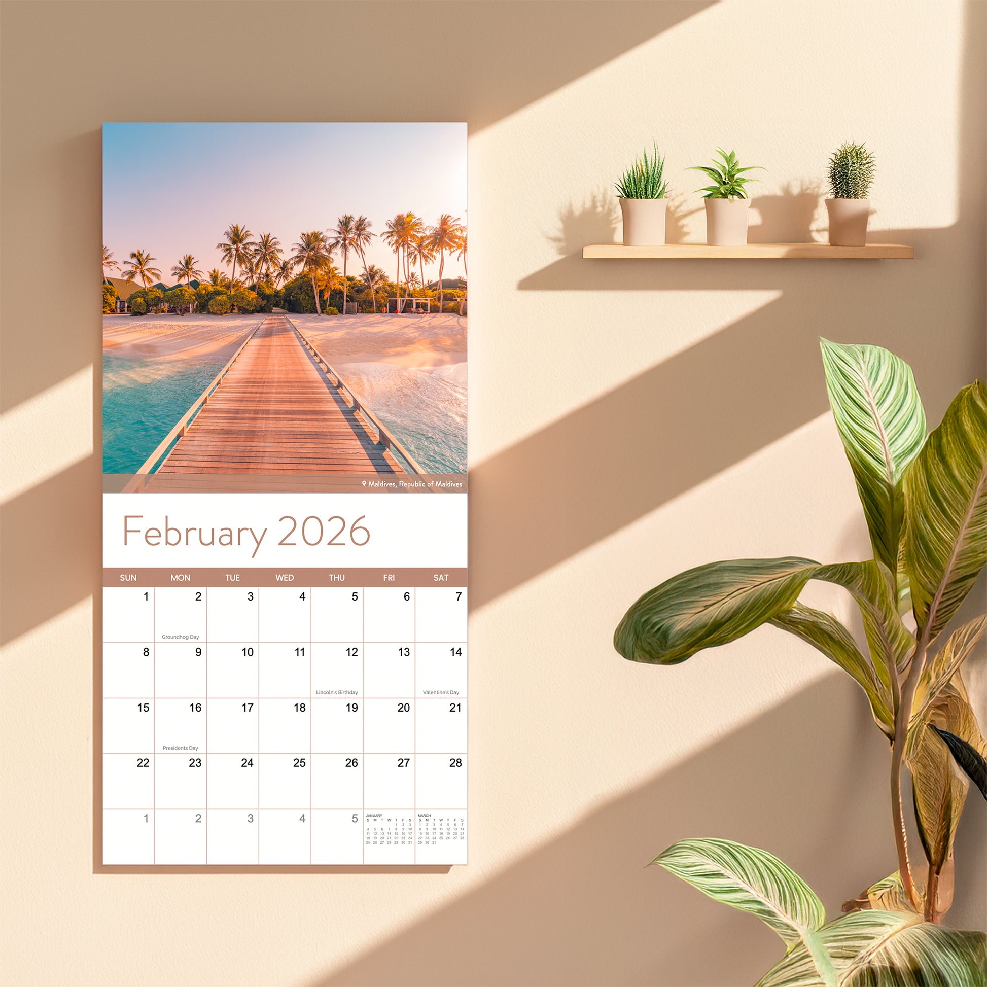 The Eterna Goods 2026 Beaches Wall Calendar is open to February, displaying a tropical boardwalk image beside a shelf with small potted plants and a large green plant nearby.