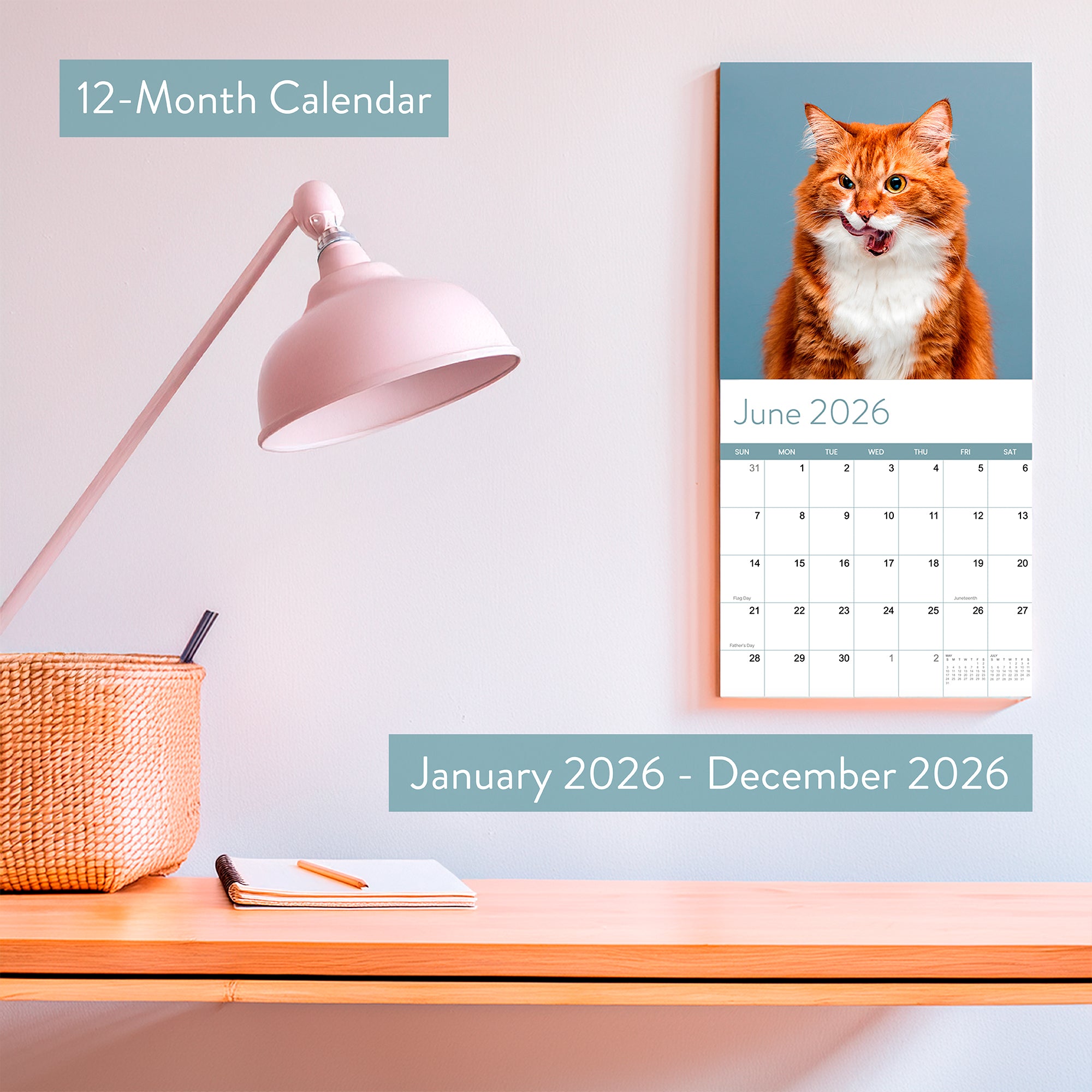 The Eterna Goods 2026 Cats Wall Calendar hangs above a desk with a lamp, basket, pen, and notebook. June features an orange cat photo. This is a 12-month calendar for 2026.