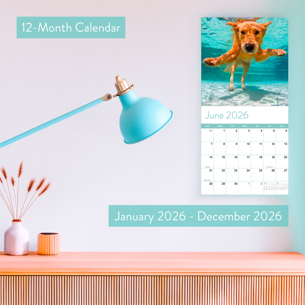 The 2026 Dogs Wall Calendar by Eterna Goods hangs above a desk, open to June, featuring coastal photography and a playful image of a dog swimming underwater.