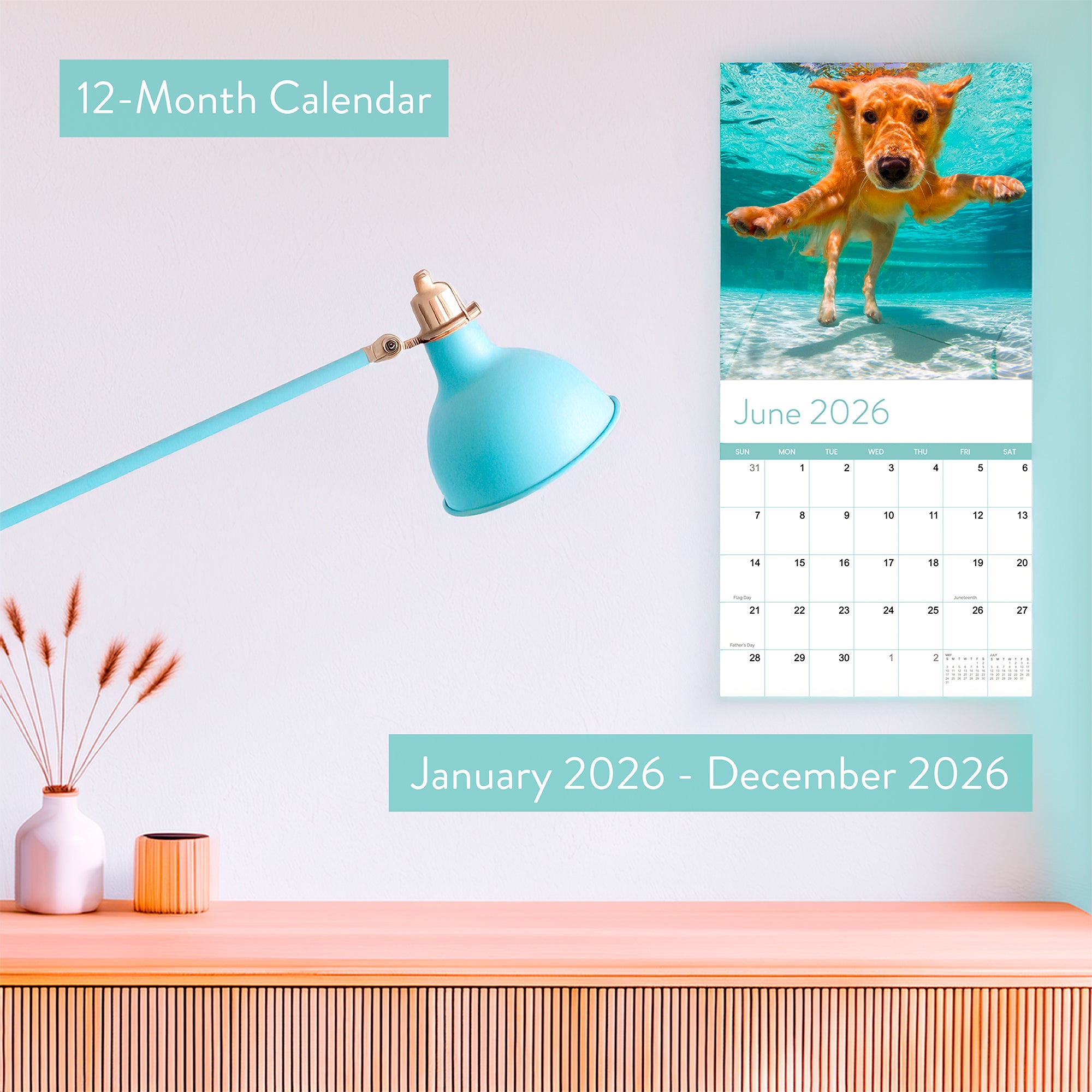 The 2026 Dogs Wall Calendar by Eterna Goods hangs above a desk, open to June, featuring coastal photography and a playful image of a dog swimming underwater.
