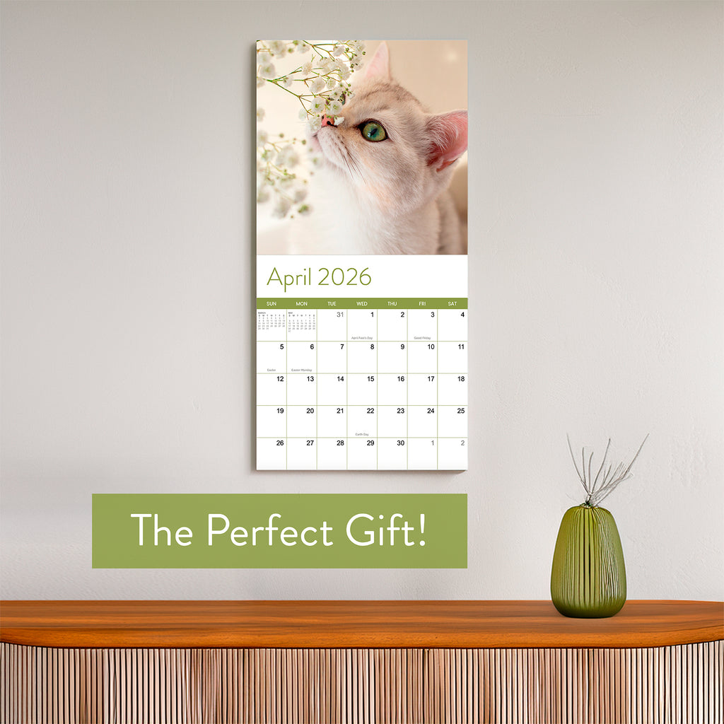 The 2026 Cats Wall Calendar by Eterna Goods features an April page with a cat sniffing white flowers and "The Perfect Gift!" on a green banner.