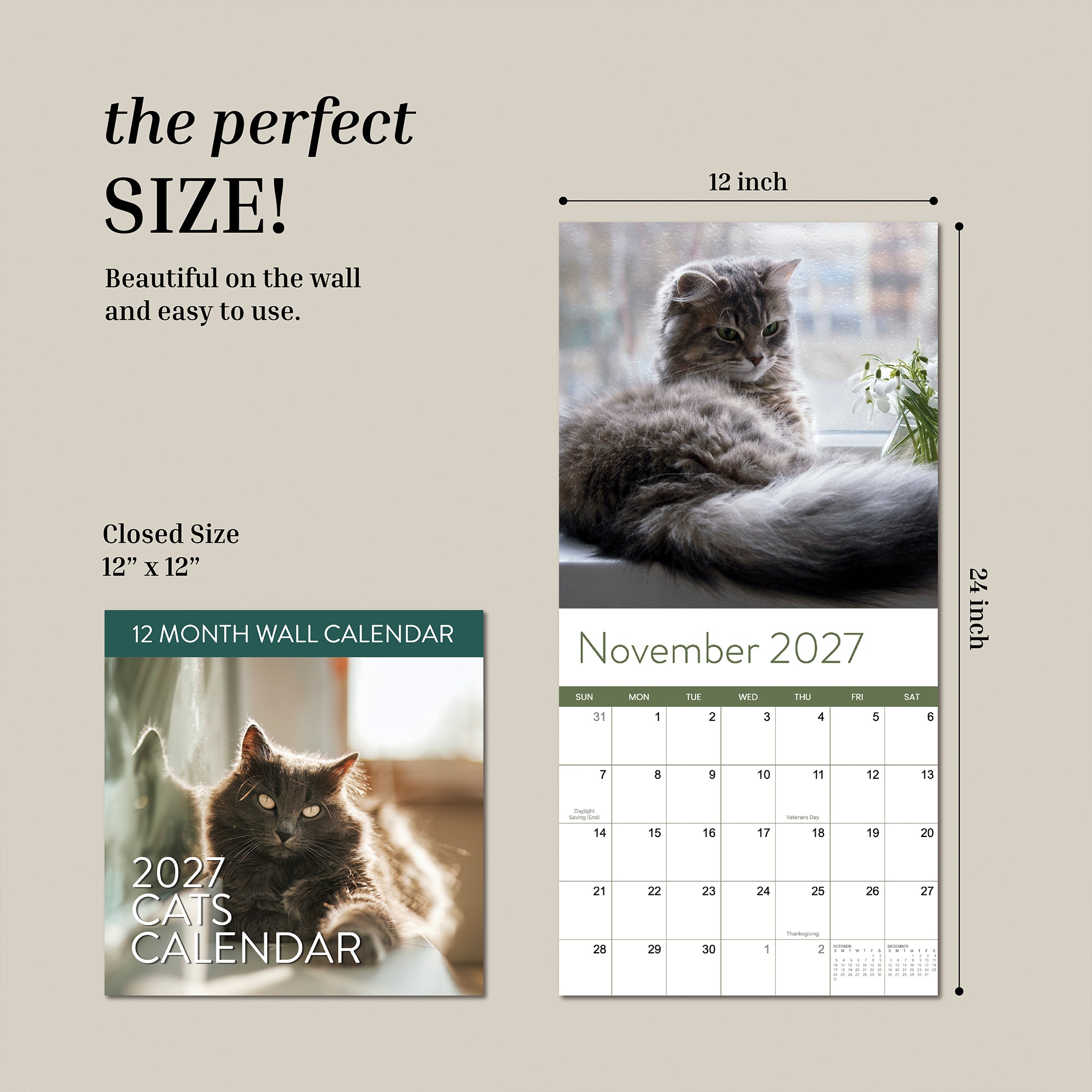 The 2027 Cats Wall Calendar from Eterna Goods measures 12x12 inches when closed and 12x24 inches when open; this monthly calendar showcases stunning cat photography—including an adorable cat photo for November—and includes a helpful size diagram.