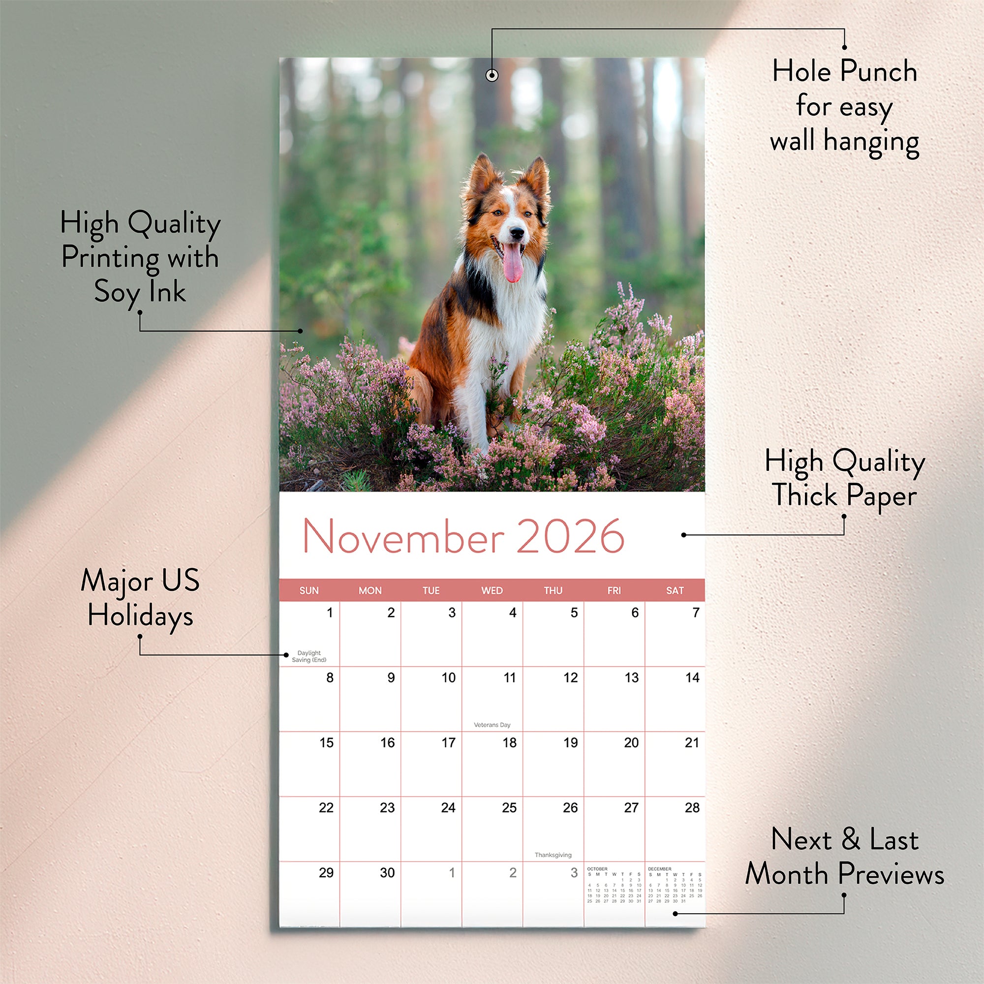 The 2026 Dogs Wall Calendar by Eterna Goods features a November image of a dog among plants, high-quality printing with soy ink, thick paper, a hole punch, major US holidays, and monthly previews—ideal for unique and coastal photography fans.