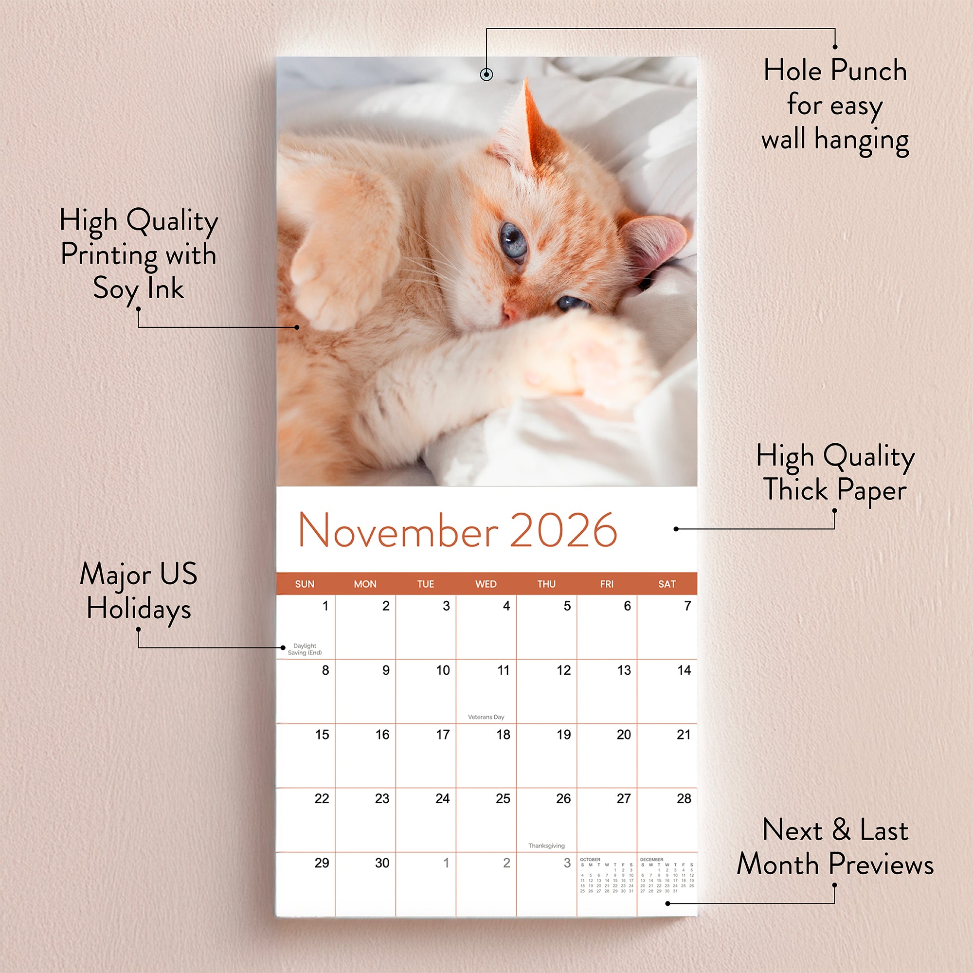 The Eterna Goods 2026 Cats Wall Calendar for November features an orange kitten photo, soy ink printing, thick paper, hole punch, US holidays, and month previews.