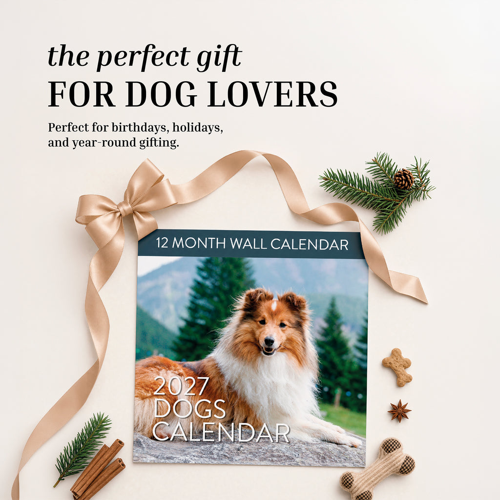 The 2027 Dogs Wall Calendar by Eterna Goods is shown with a collie on the cover, beautifully arranged alongside a gold ribbon, pine branches, and gift items on a neutral background—making it the perfect calendar for dog lovers and featuring striking dog photography.