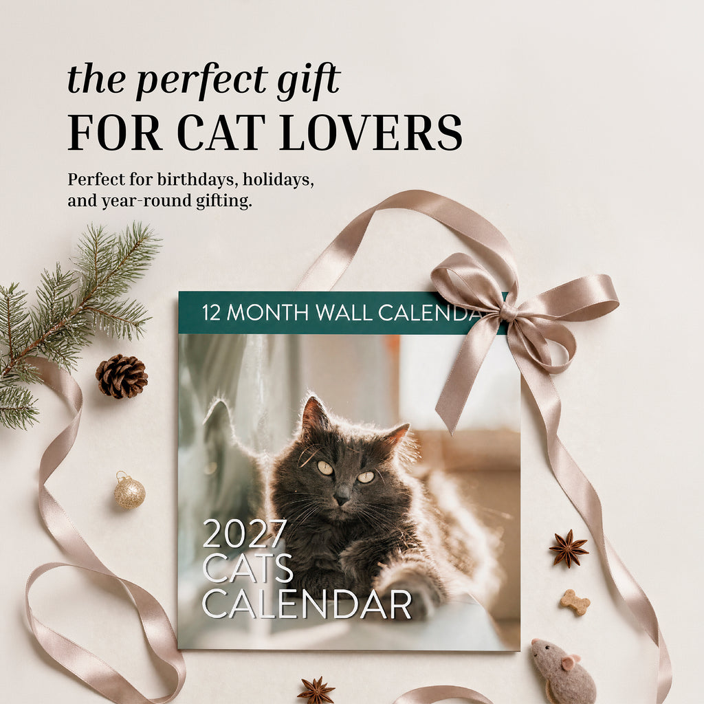 An Eterna Goods 2027 Cats Wall Calendar, showcasing delightful cat photography, rests on a beige surface surrounded by holiday decorations, pine sprigs, ribbon, and pinecones.