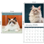 The Eterna Goods 2026 Cats Wall Calendar is 12x12 inches closed, 12x24 inches open, featuring a cat photo above the January grid—perfect for fans of pets and coastal photography.