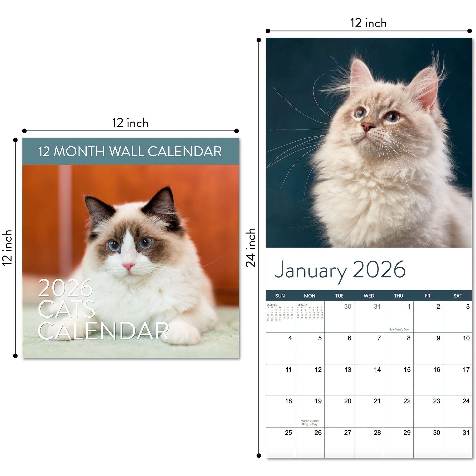 The Eterna Goods 2026 Cats Wall Calendar is 12x12 inches closed, 12x24 inches open, featuring a cat photo above the January grid—perfect for fans of pets and coastal photography.