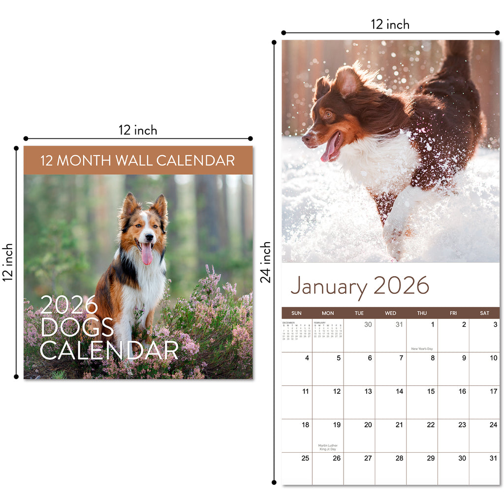 The 2026 Dogs Wall Calendar by Eterna Goods features a brown and white dog running through snow on the January page—ideal for pet lovers who also enjoy beach calendars or coastal photography.