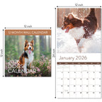 The 2026 Dogs Wall Calendar by Eterna Goods features a brown and white dog running through snow on the January page—ideal for pet lovers who also enjoy beach calendars or coastal photography.