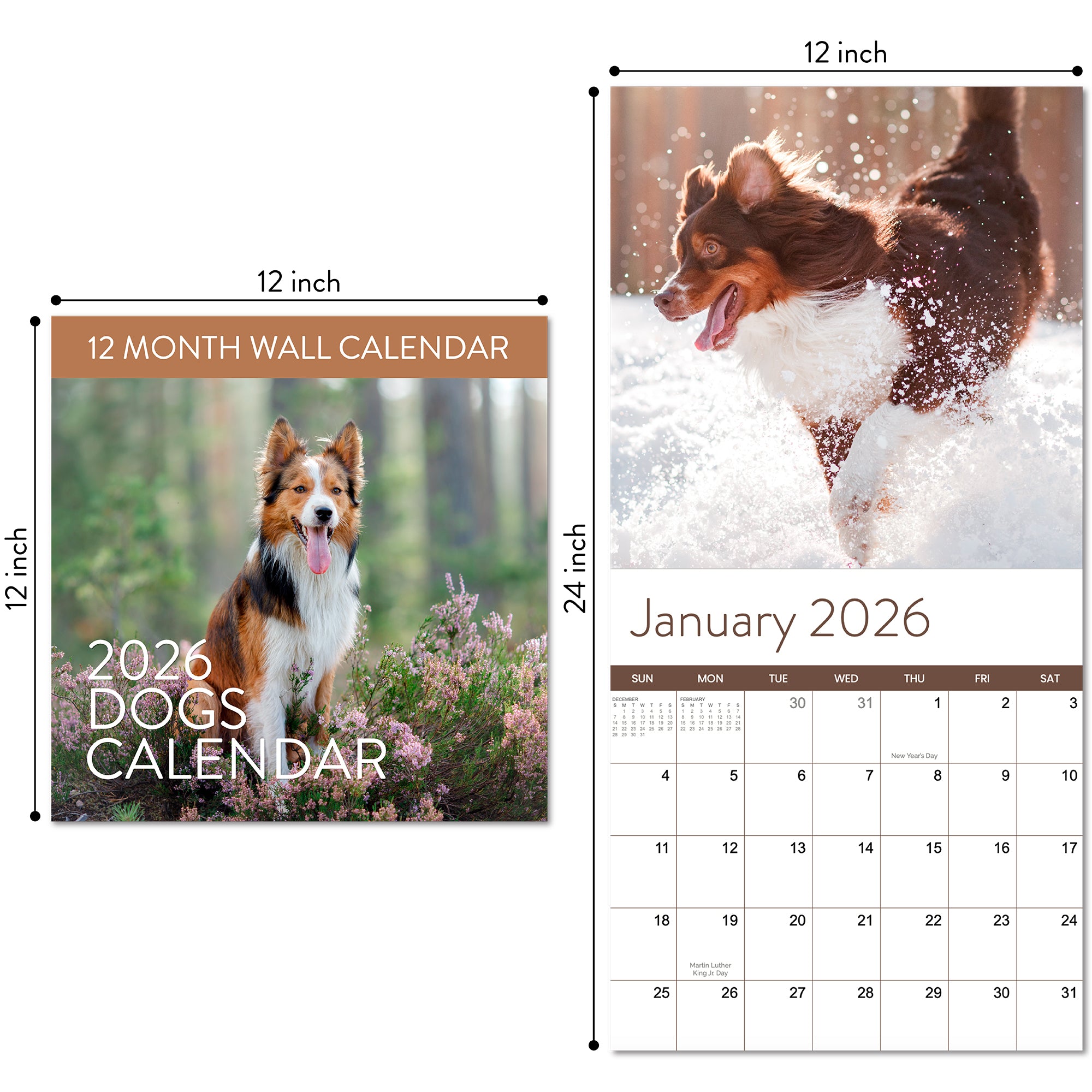 The 2026 Dogs Wall Calendar by Eterna Goods features a brown and white dog running through snow on the January page—ideal for pet lovers who also enjoy beach calendars or coastal photography.