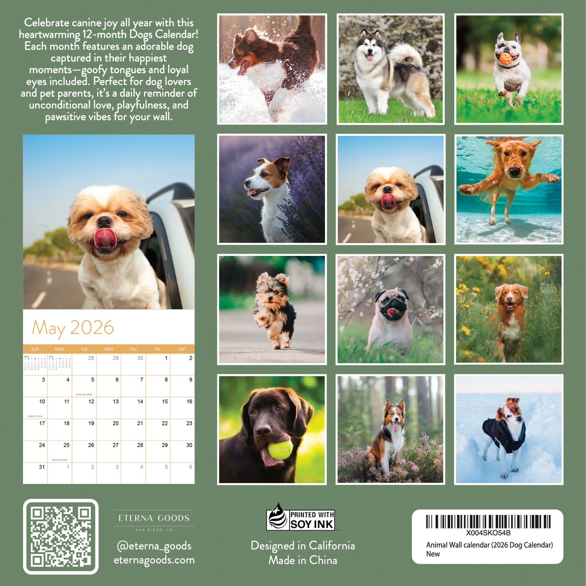 The back cover of the 2026 Dogs Wall Calendar by Eterna Goods displays a May page, 12 stunning outdoor and coastal dog breed photos, promotional details, and Eterna Goods company info.