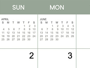 The 2027 Cats Wall Calendar by Eterna Goods features the months of April and June, with large numbers "2" and "3" displayed in the Sunday and Monday boxes beneath them. The empty Tuesday box adds a unique touch to this monthly calendar, which showcases charming cat photography.