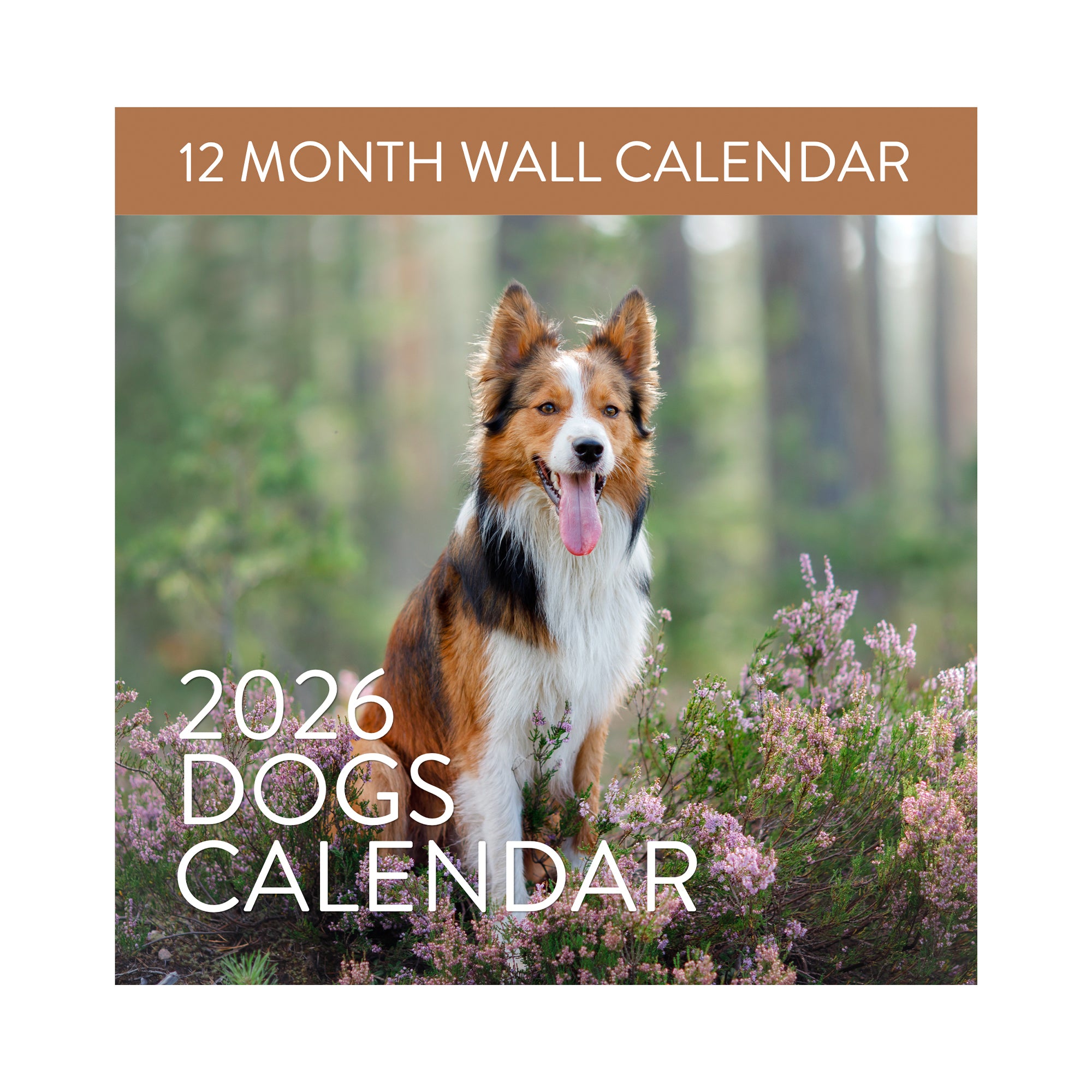 The Eterna Goods 2026 Dogs Wall Calendar features a brown and white dog among forest flowers, with “12 Month Wall Calendar” atop the cover—a delightful pick for dog lovers seeking an alternative to a beach calendar.