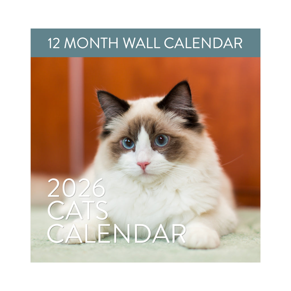 Cover of the 2026 Cats Wall Calendar by Eterna Goods shows a fluffy white and brown blue-eyed cat on a light green surface. "12 Month Wall Calendar" and "2026 Cats Calendar" are featured—perfect for cat lovers from Eterna Goods.