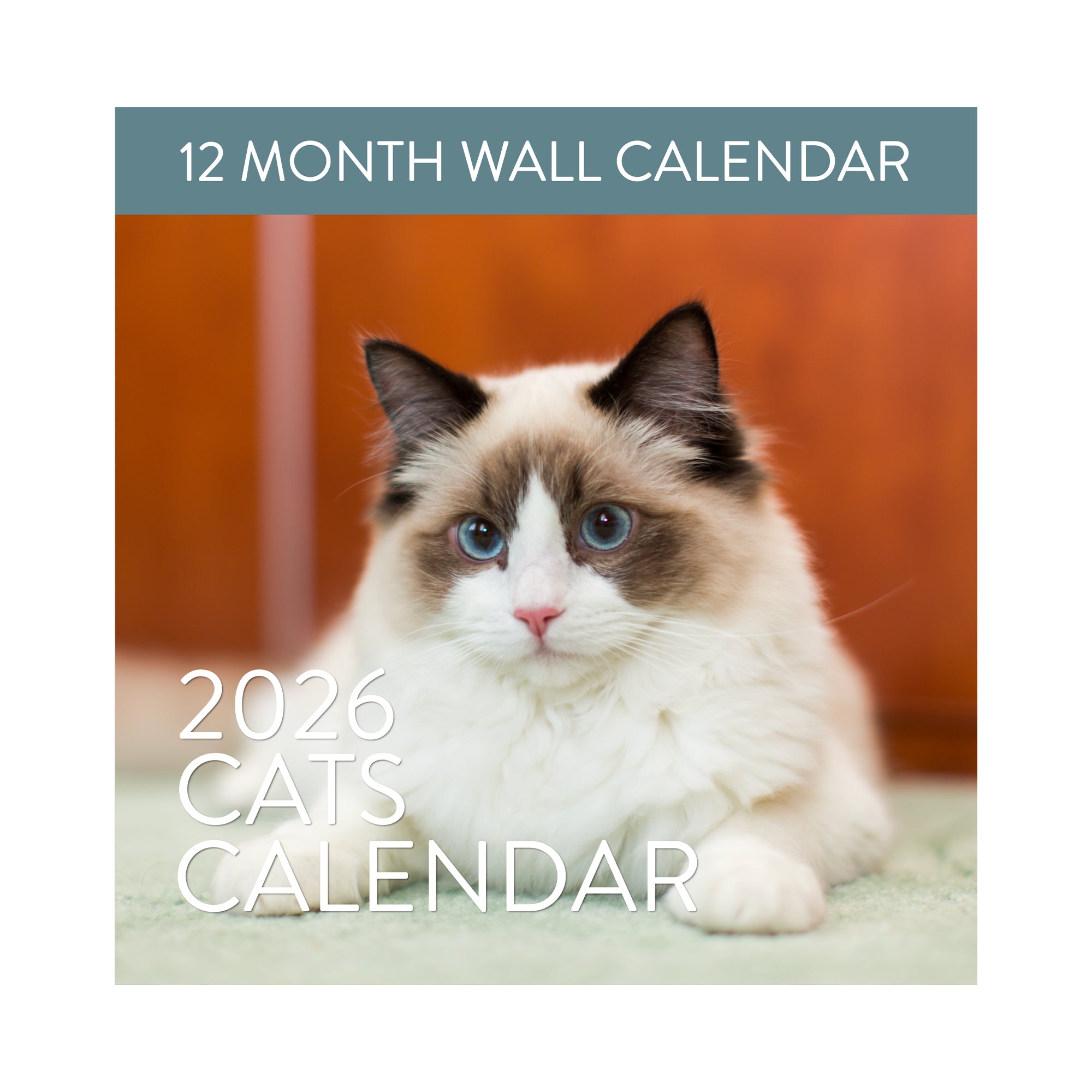 Cover of the 2026 Cats Wall Calendar by Eterna Goods shows a fluffy white and brown blue-eyed cat on a light green surface. "12 Month Wall Calendar" and "2026 Cats Calendar" are featured—perfect for cat lovers from Eterna Goods.