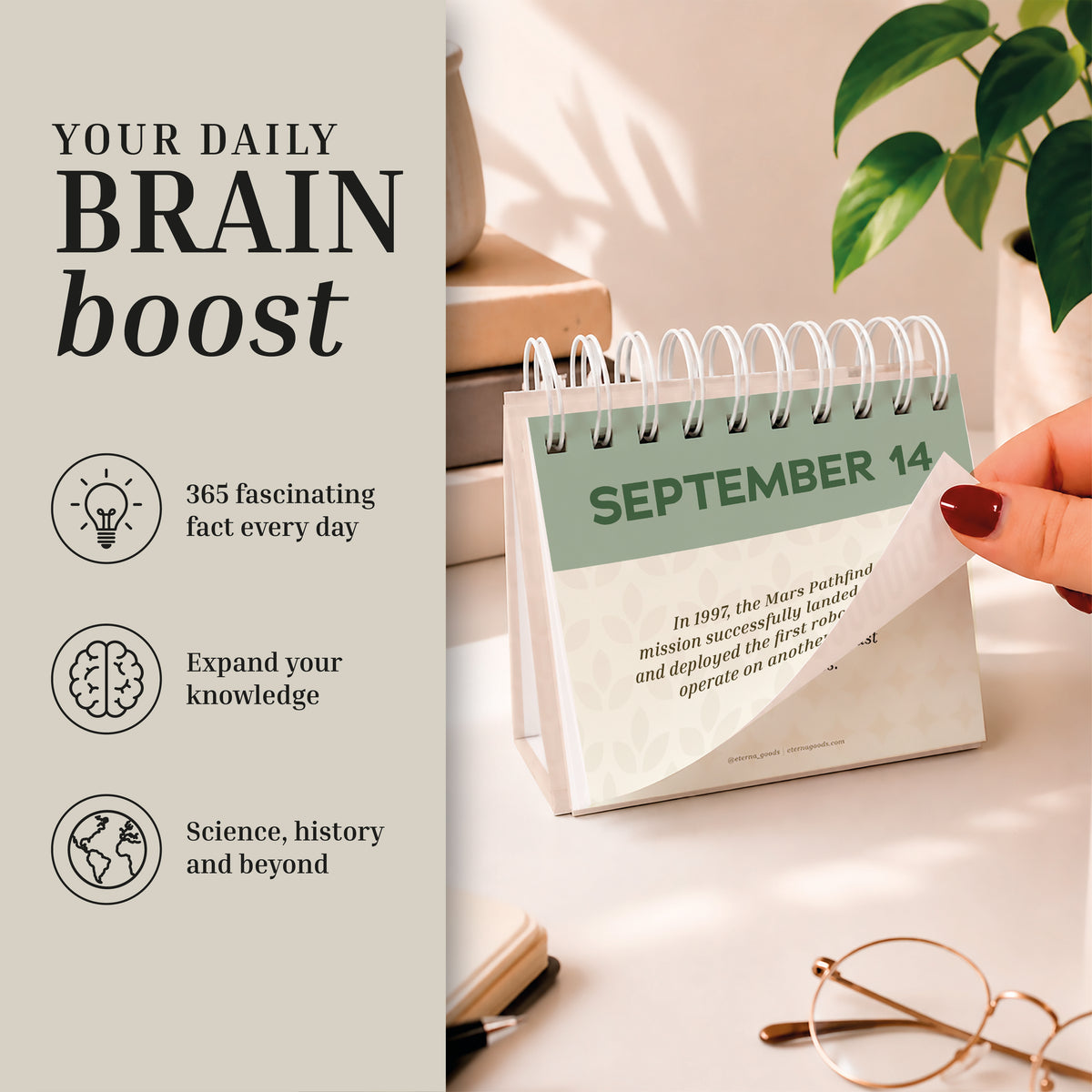 Perpetual Unusual Knowledge & Facts Perpetual Calendar