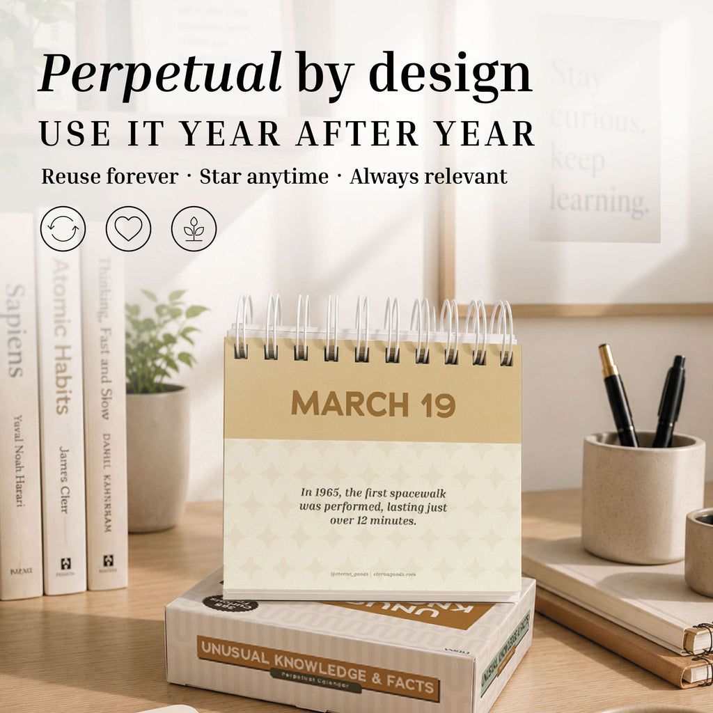 An Eterna Goods Perpetual Unusual Knowledge & Facts Perpetual Calendar, spiral-bound and set to March 19, sits atop a stack of books on a desk—making it a perfect trivia gift for fans of quirky facts. A pen holder, additional books, and decorative accents complete the background.