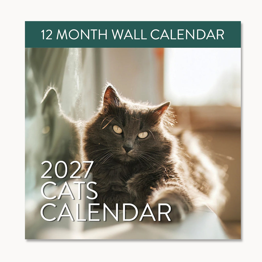 Cover of the 2027 Cats Wall Calendar by Eterna Goods, showcasing a fluffy gray cat basking in sunlight, with beautiful cat photography and the text "12 Month Wall Calendar" displayed at the top.