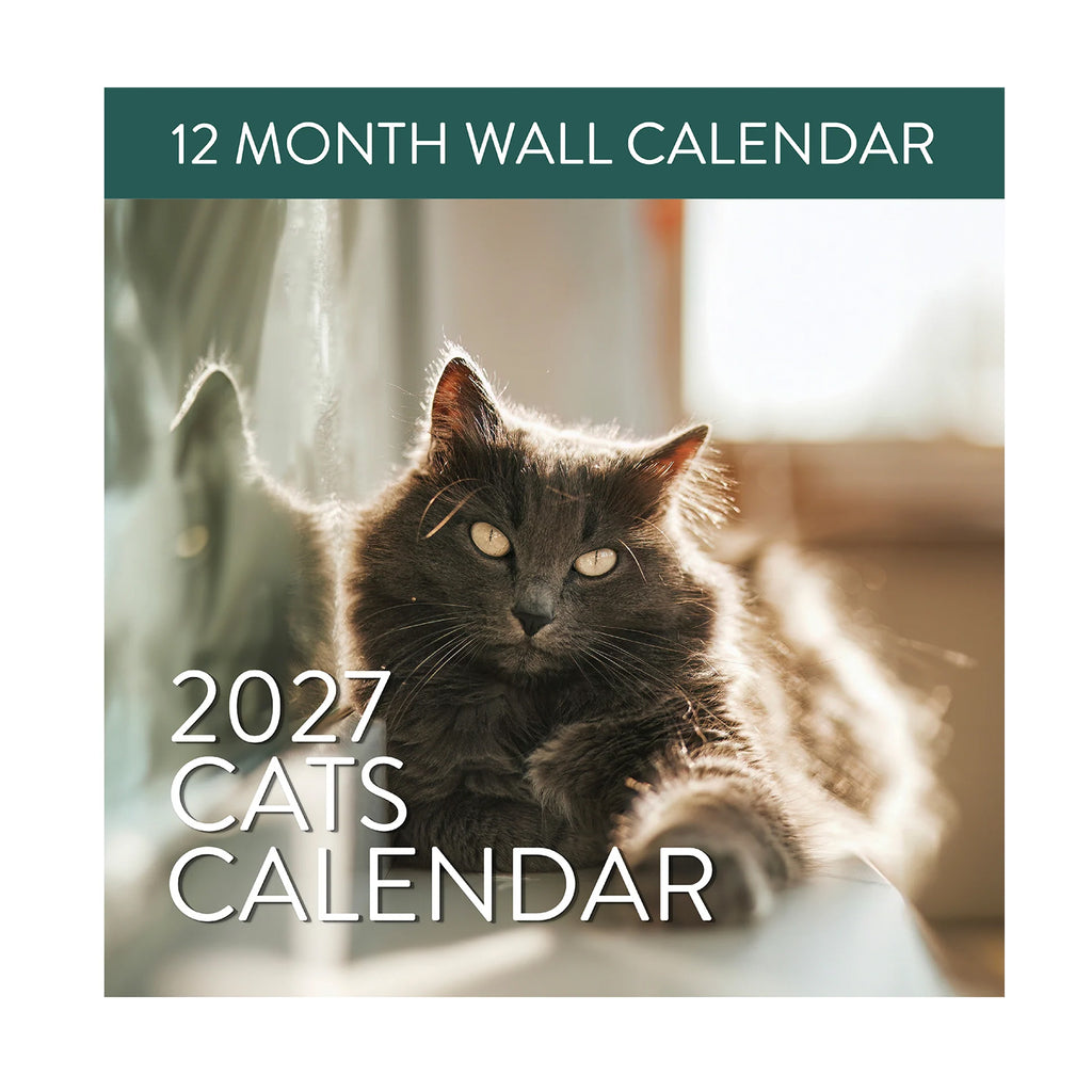 Cover of the 2027 Cats Wall Calendar by Eterna Goods, showcasing a fluffy gray cat basking in sunlight, with beautiful cat photography and the text "12 Month Wall Calendar" displayed at the top.