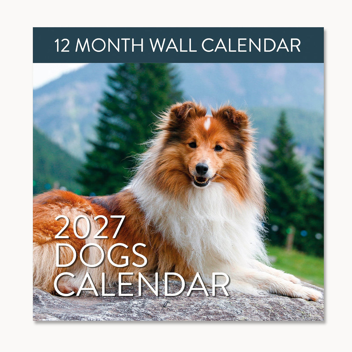 Cover of the Eterna Goods 2027 Dogs Wall Calendar featuring a Shetland Sheepdog lying on a rock outdoors, with trees and mountains in the background. Perfect for dog lovers, this 12-month wall calendar showcases stunning dog photography. Text reads: "2027 Dogs Wall Calendar • 12 Month Calendar.