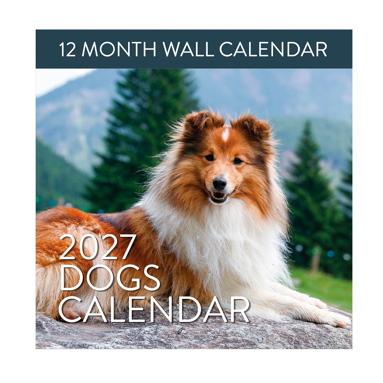 Cover of the Eterna Goods 2027 Dogs Wall Calendar featuring a Shetland Sheepdog lying on a rock outdoors, with trees and mountains in the background. Perfect for dog lovers, this 12-month wall calendar showcases stunning dog photography. Text reads: "2027 Dogs Wall Calendar • 12 Month Calendar.