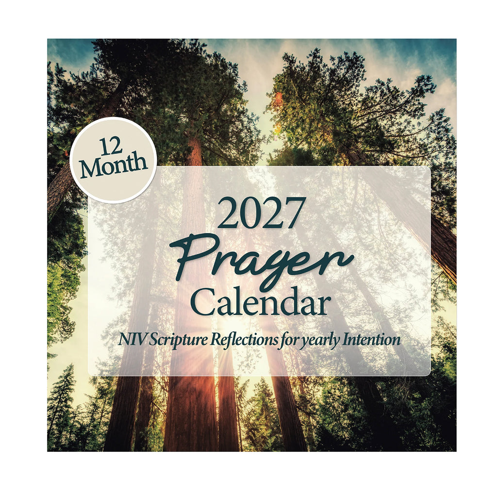 Cover of the 2027 Prayer Wall Calendar by Hannah Faith, featuring tall trees bathed in sunlight. Labeled “12 Month” and “NIV Scripture Reflections for yearly Intention,” this faith-inspired calendar is perfect for anyone seeking daily encouragement and spiritual focus all year long.