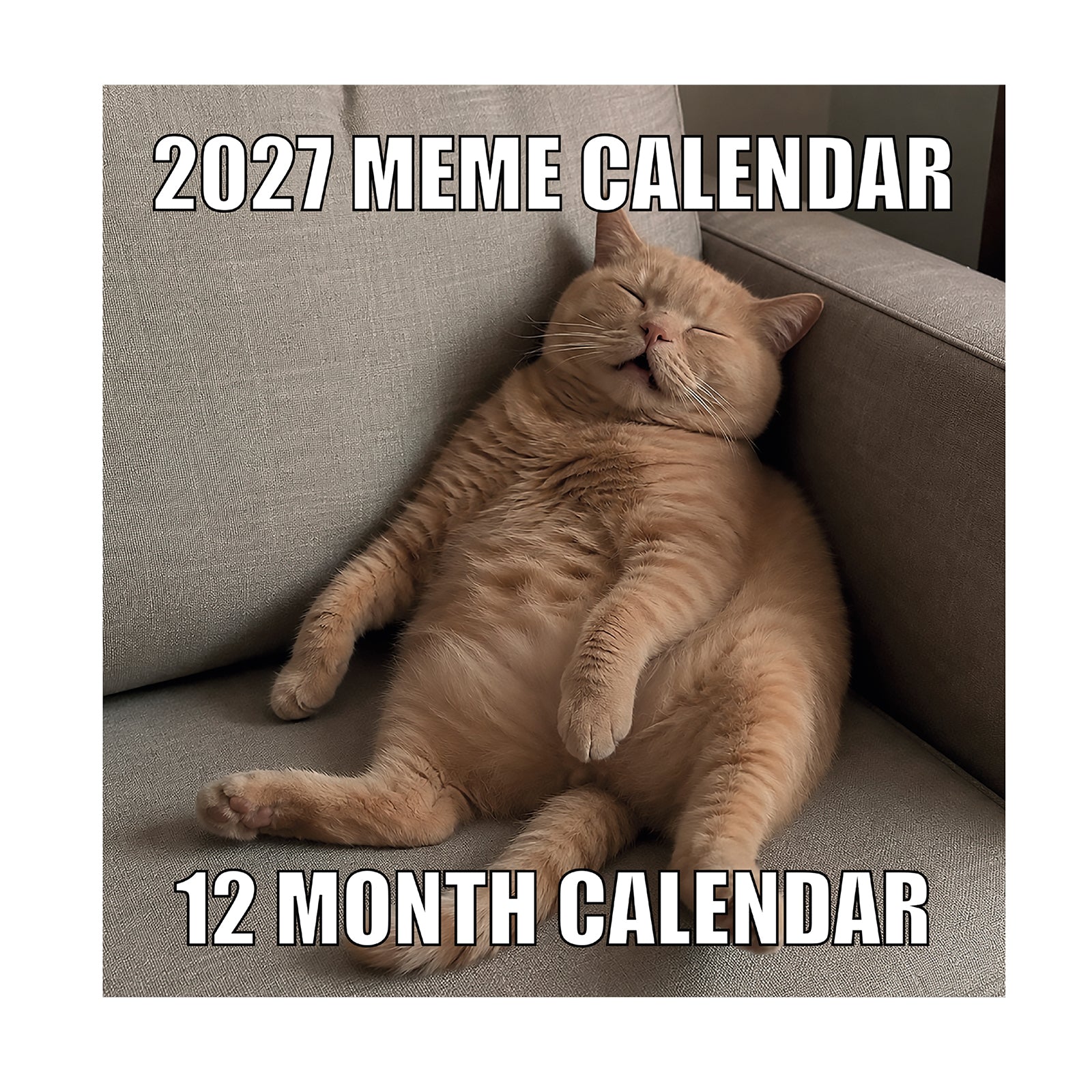 A plump orange cat reclines on a sofa, eyes closed, embodying the laid-back spirit of classic meme art. At the top, the text reads “2027 Meme Wall Calendar,” while below it says “12 Month Calendar,” making this Eterna Goods calendar a hilarious essential for fans of internet humor.